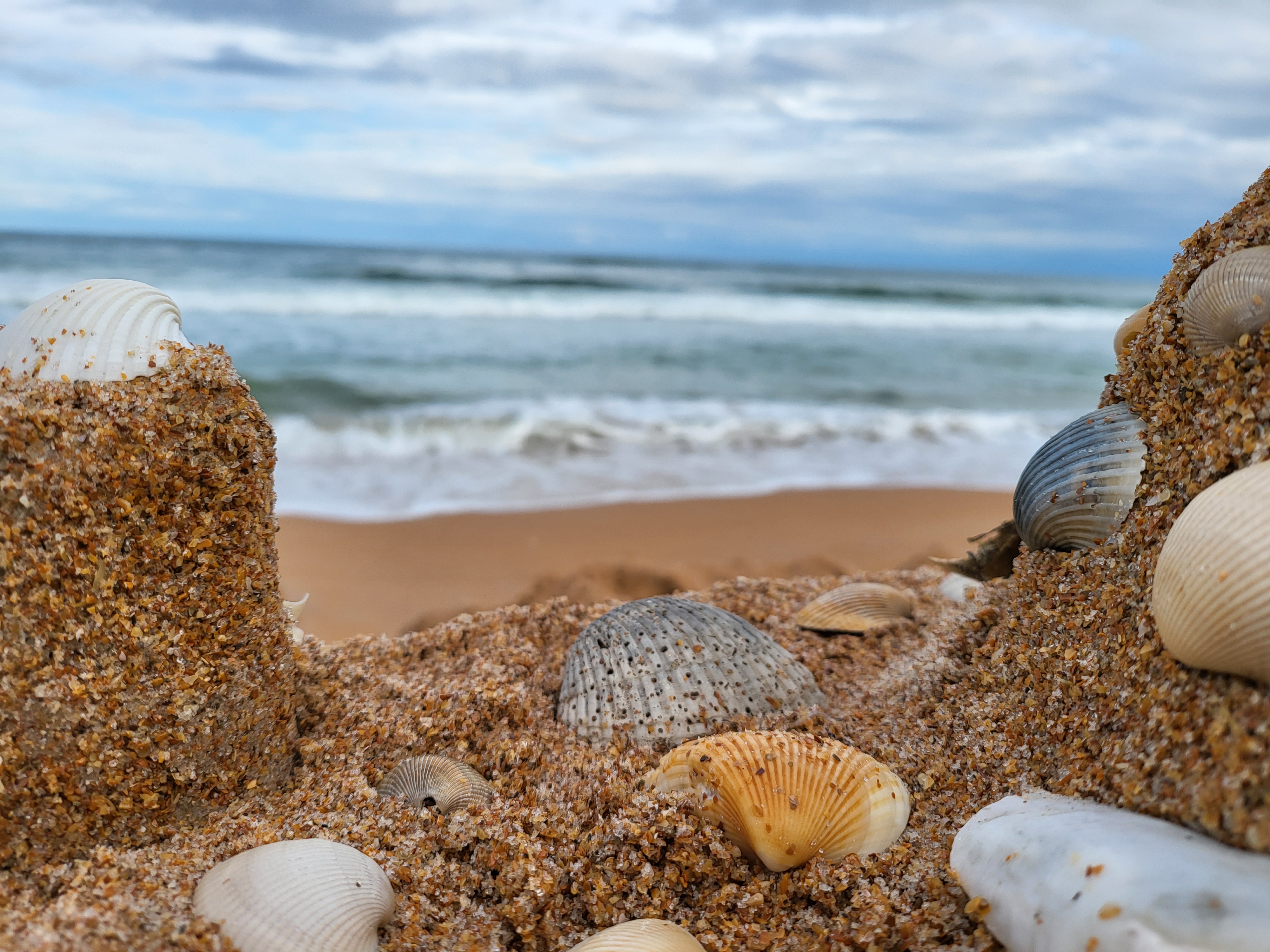 A few shared in the Florida gallery