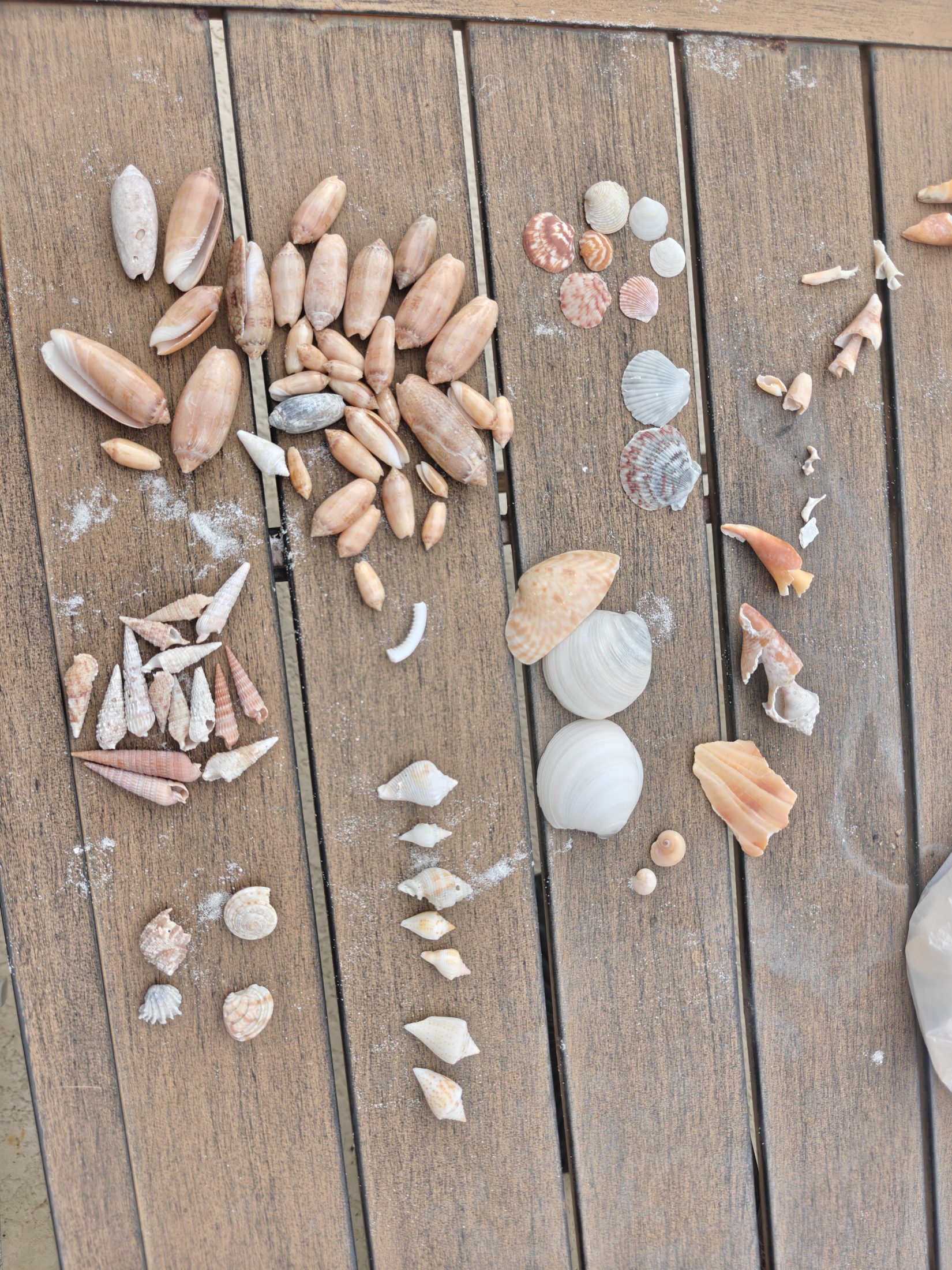 Mix shared in the Florida gallery